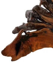 Organic Brutalist Large Tree Root Coffee Table, 1970s